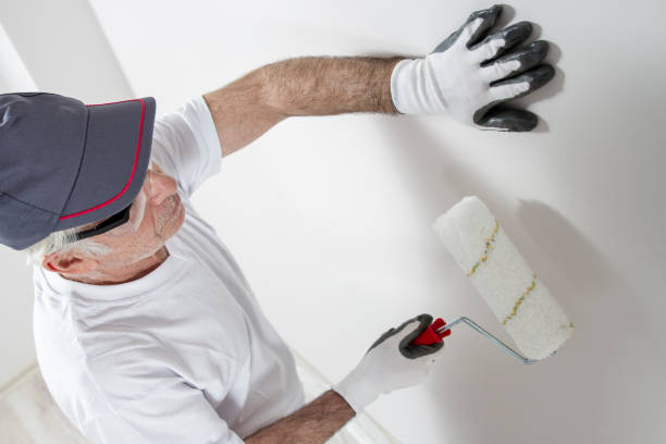 Best Black Mold Removal  in Osceola, IN