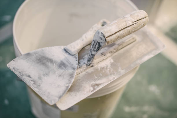Best Biohazard Mold Removal  in Osceola, IN
